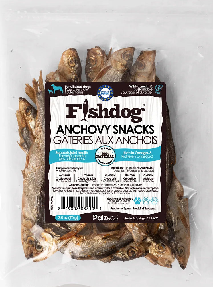 PC FishDog Anchovy