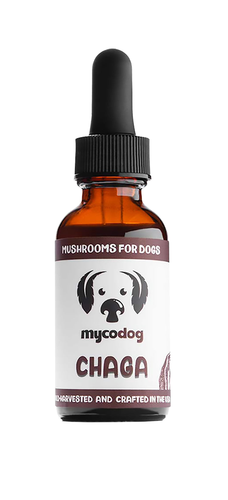 MYCO Dog Chaga