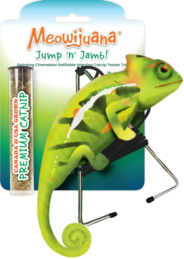 MEOW Toy Jumb n Jamb Chameleon
