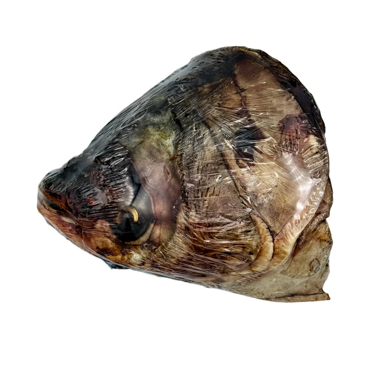 GFF Carp Head