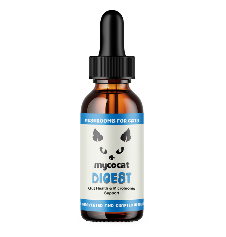 MYCO Cat Digest