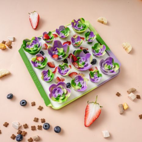 TT Foraging Mat Succulent Garden