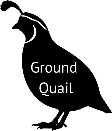WFP Ground Quail
