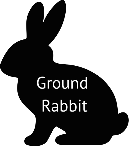 WFP Ground Rabbit