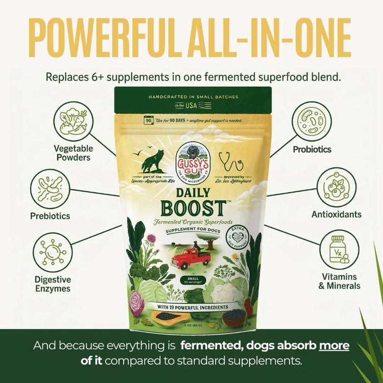 Gussy's Gut Boost