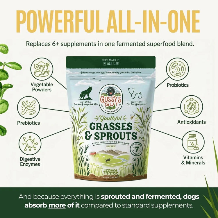 Gussy's Gut Youthful Grasses & Sprouts