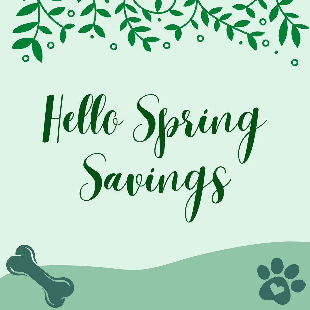 Hello Spring Savings