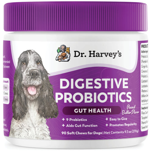 Dr H Digestive Probioitics 90ct