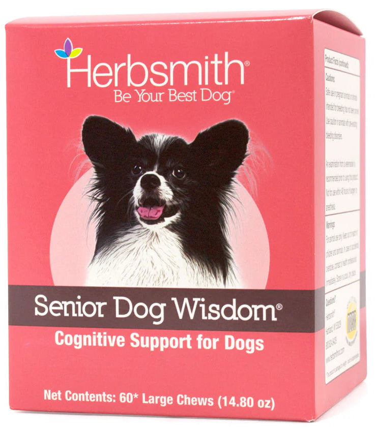 HS Senior Wisdom Chews