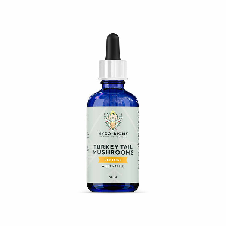 AB Turkey Tail Tincture (Preorder October Delivery)