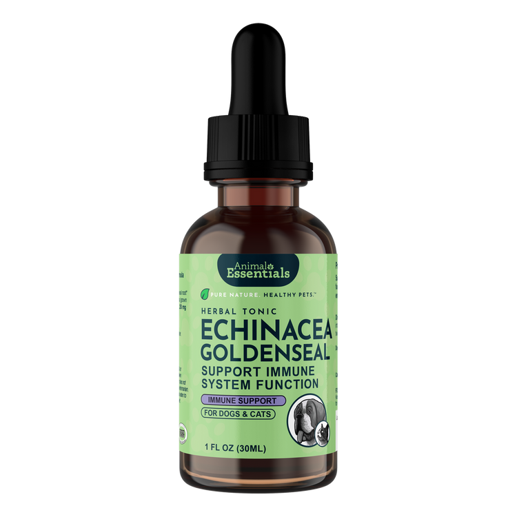 AE Goldenseal Echinacea 1oz (PRE ORDER JUNE DELIVERY)