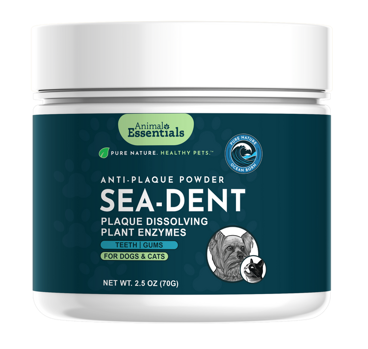 AE Sea Dent 2.5oz (PRE ORDER JUNE DELIVERY)