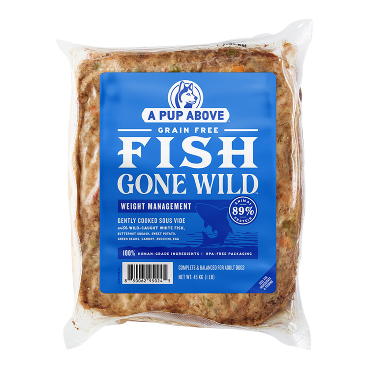 APA Fish Gone Wild