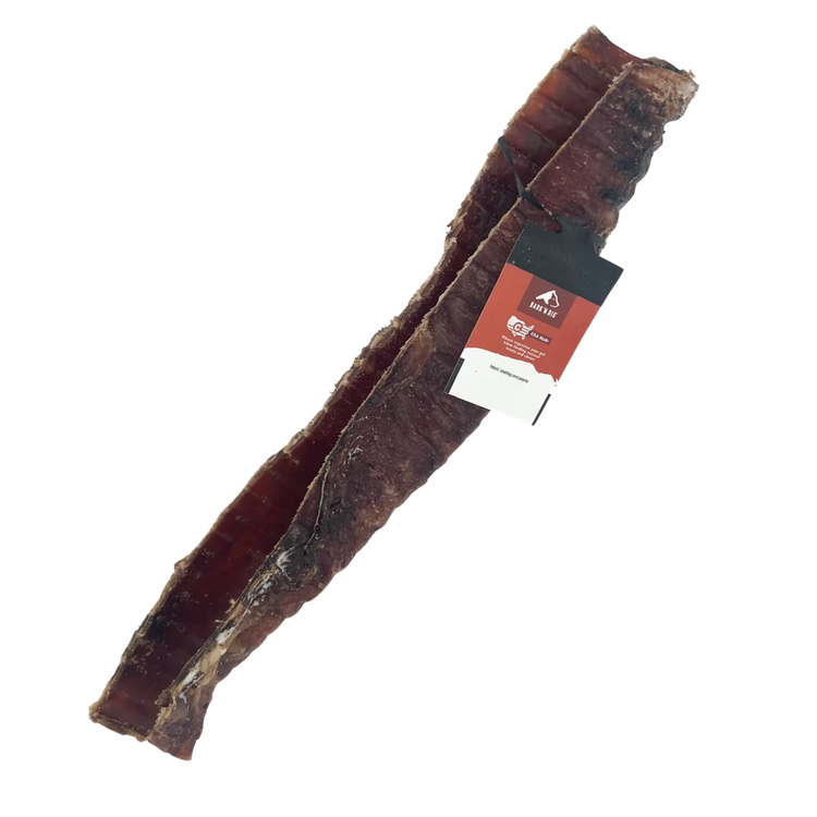 BNB Bison Trachea Canoe