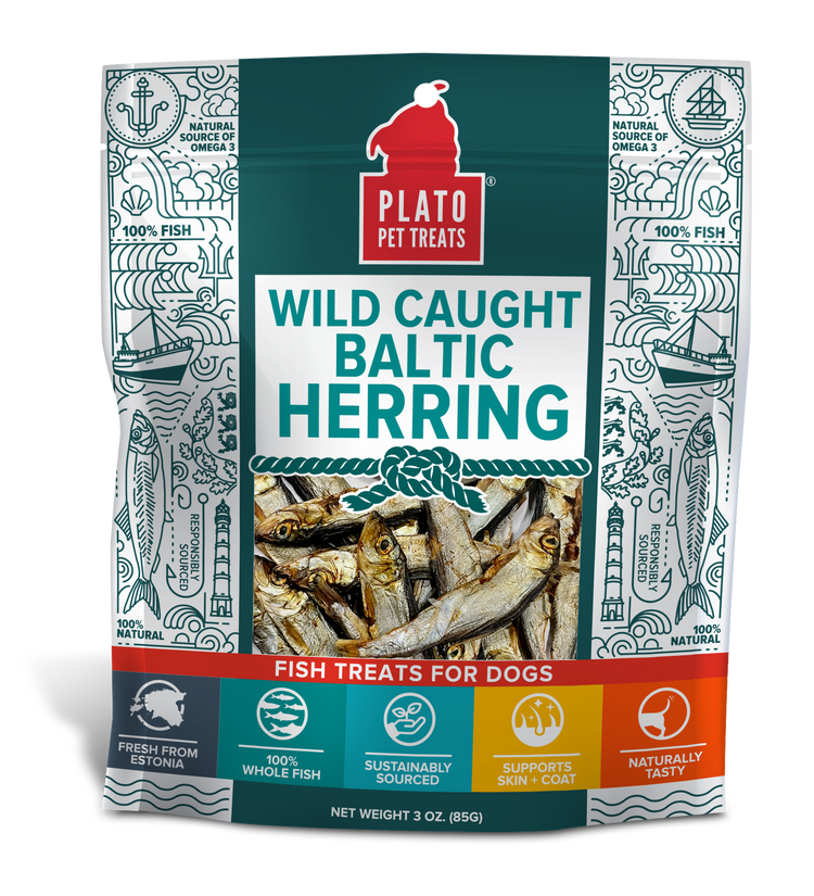 Plato Baltic Herring (Preorder October Delivery)