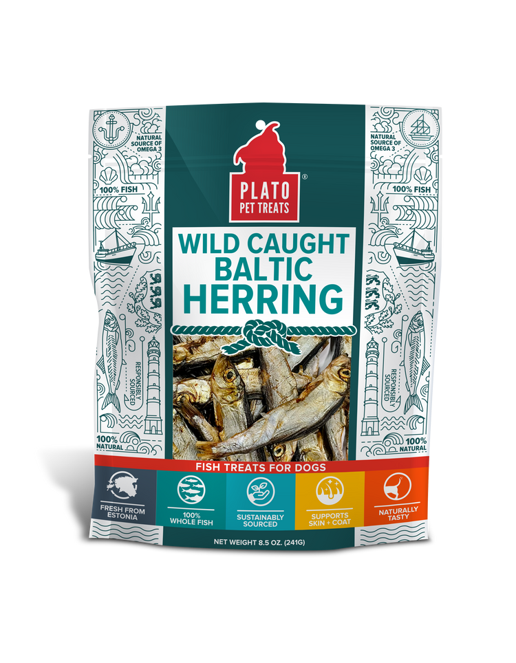 Plato Baltic Herring (Preorder October Delivery)