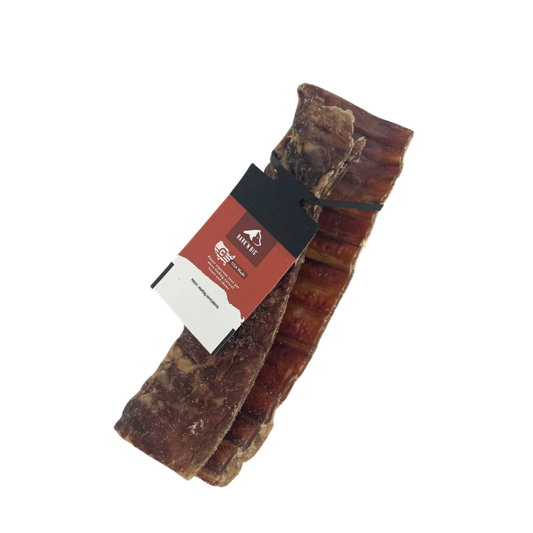 BNB Bison Trachea Canoe