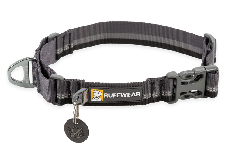 RW Web Reaction Collar