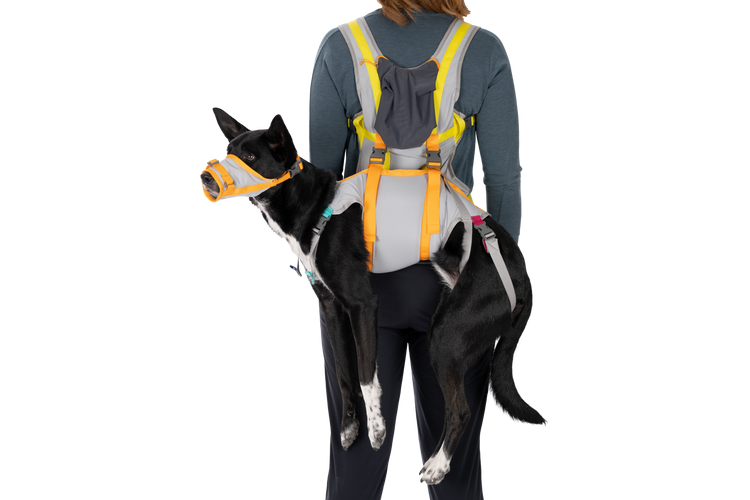 RW BackTrak Dog Evacuation Kit