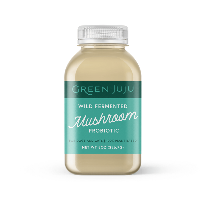 GJ Mushroom Probiotic (Preorder October Delivery)