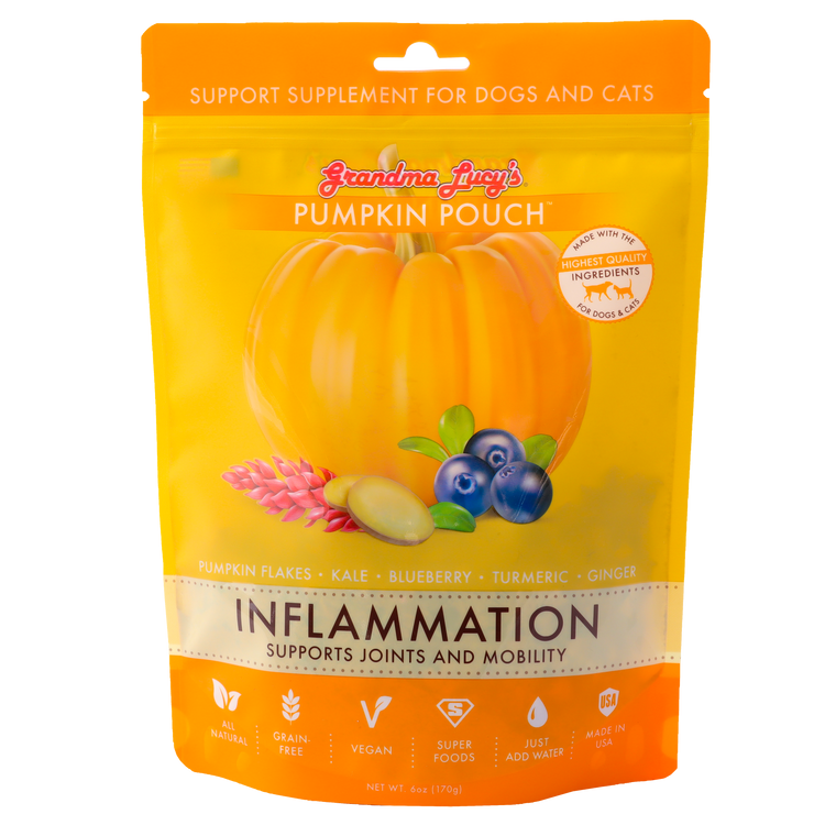 GML Pumpkin Pouch (Preorder October Delivery)