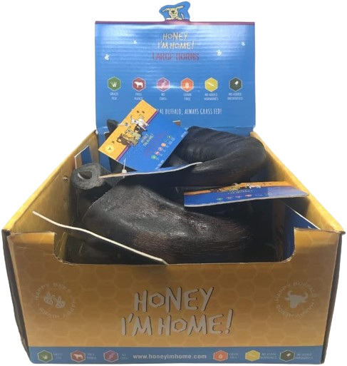 HIH Large Buffalo Horn