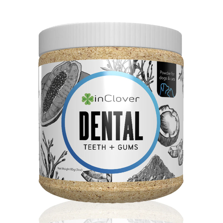 IC BioBrilliant Dental