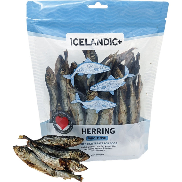 ICE Whole Herring Fish