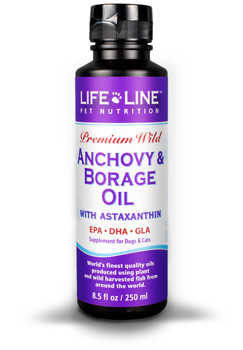 Lifeline Anchovy & Borage Oil (PRE ORDER JUNE DELIVERY)