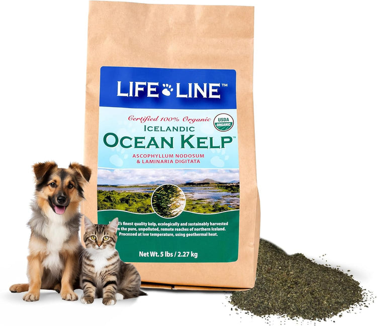 Lifeline Organic Kelp