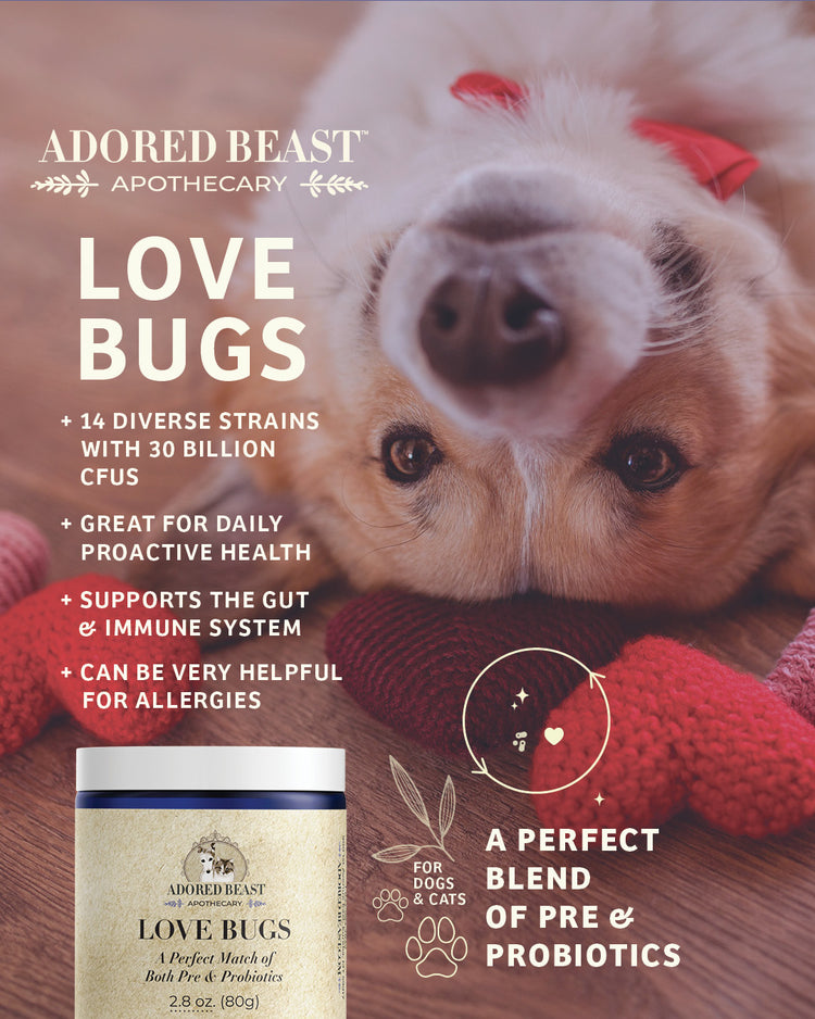 AB Love Bugs