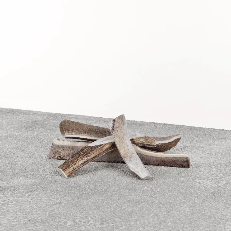 PRIMAL Stag Antler