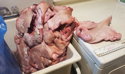 Pork Snouts 60lb (IBP)