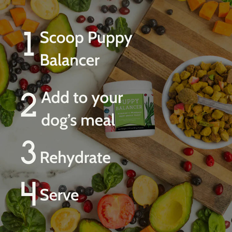 SFP Puppy Balancer