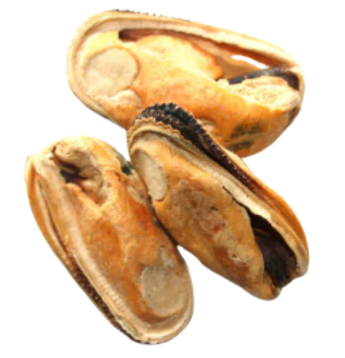 RAWR Green Lipped Mussels 1#