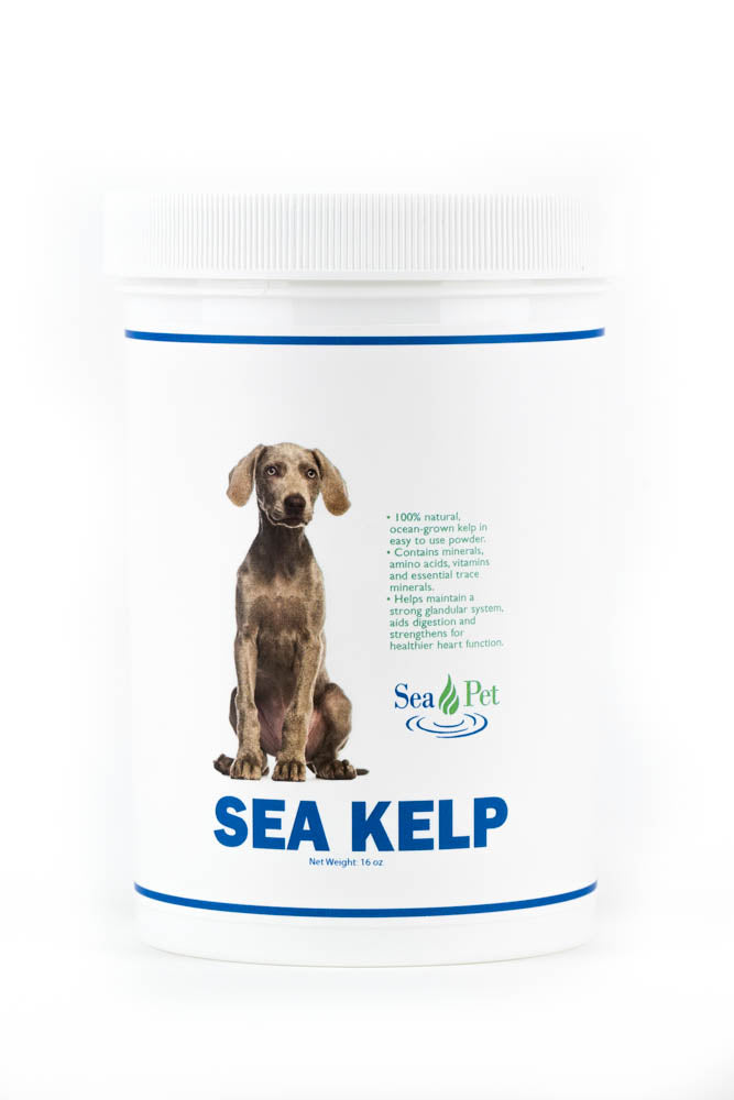 SP Sea Kelp Powder
