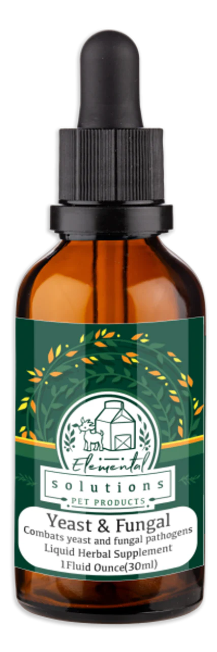 SPP Yeast & Fungal Tincture (Preorder October Delivery)