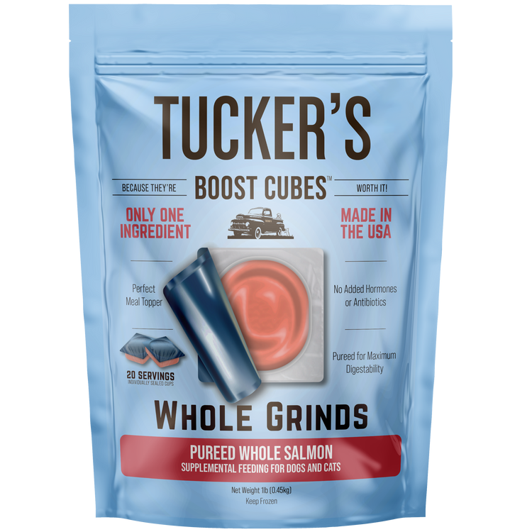 Tucker's Frozen Salmon Boost Cube
