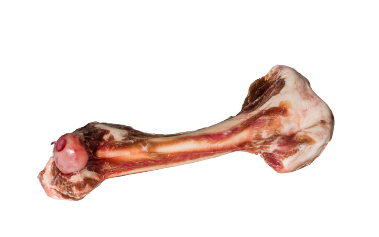Tucker's Frozen Lamb Bones