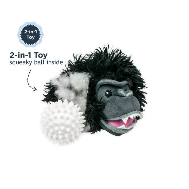 TT Fetch Ball 2 in 1