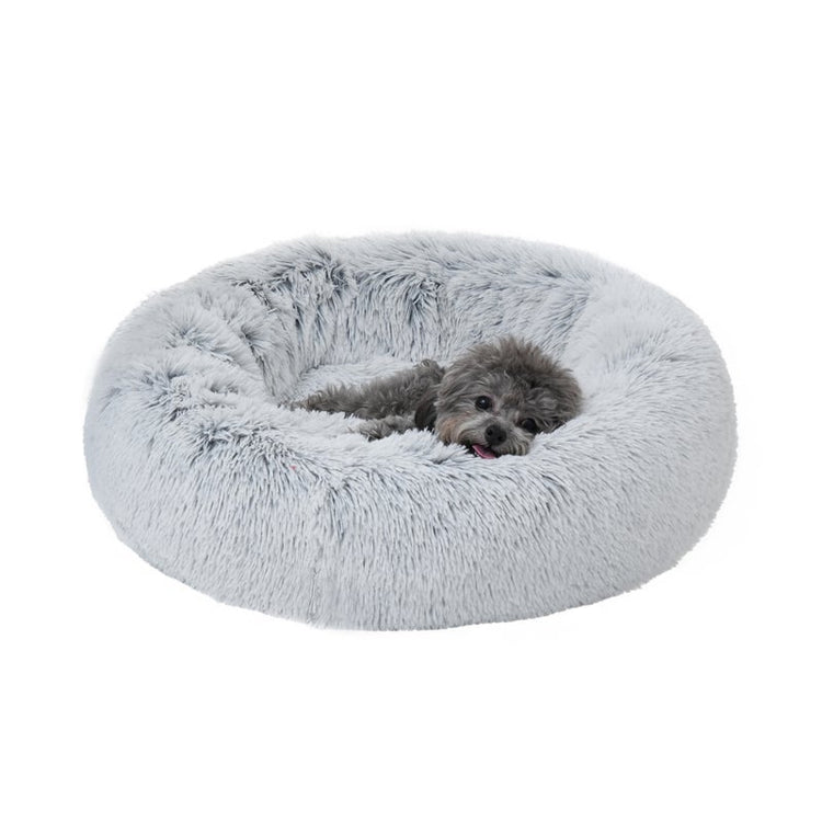 TT Bed Frosted