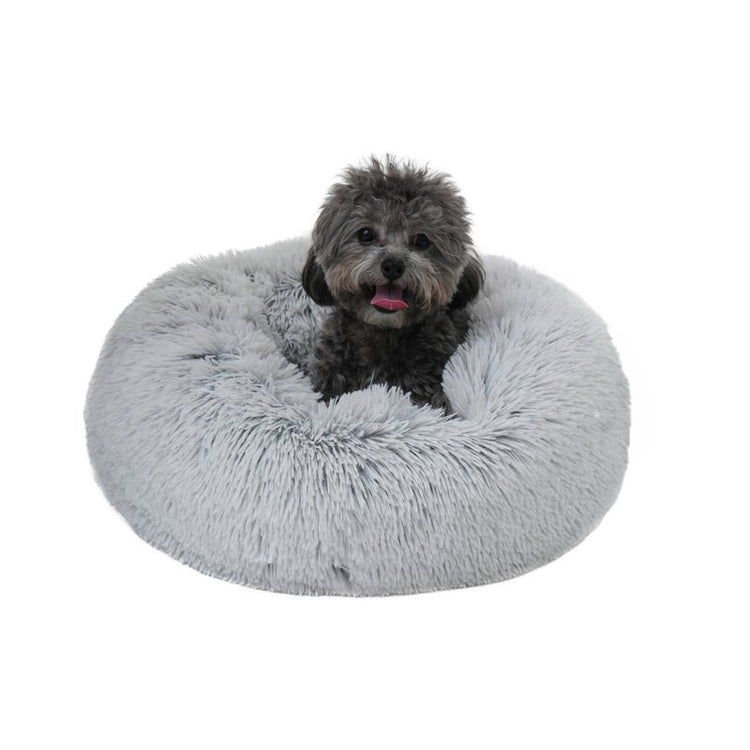 TT Bed Frosted