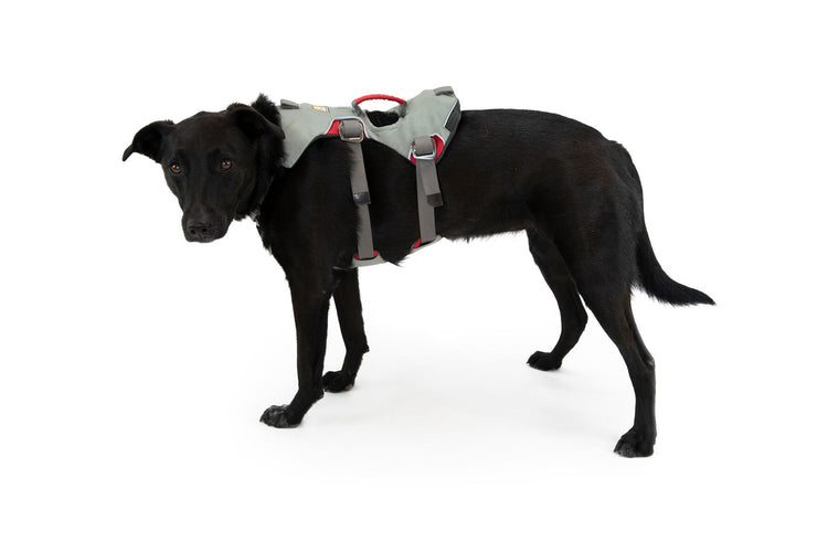 RW Doubleback Harness