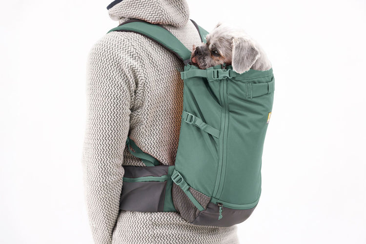 RW Hitch Hiker Dog Backpack Carrier