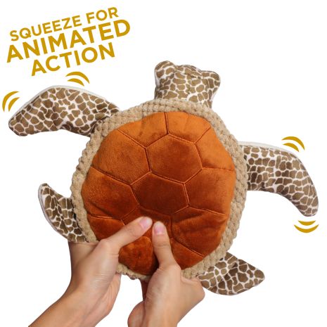 TT Animated Sea Turtle