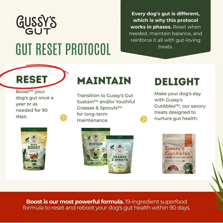 Gussy's Gut Boost