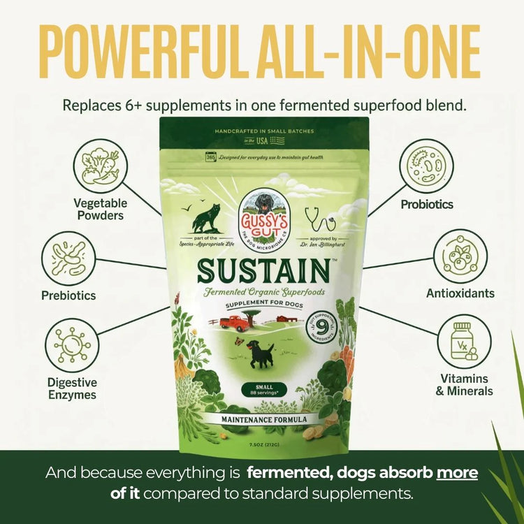 Gussy's Gut Sustain