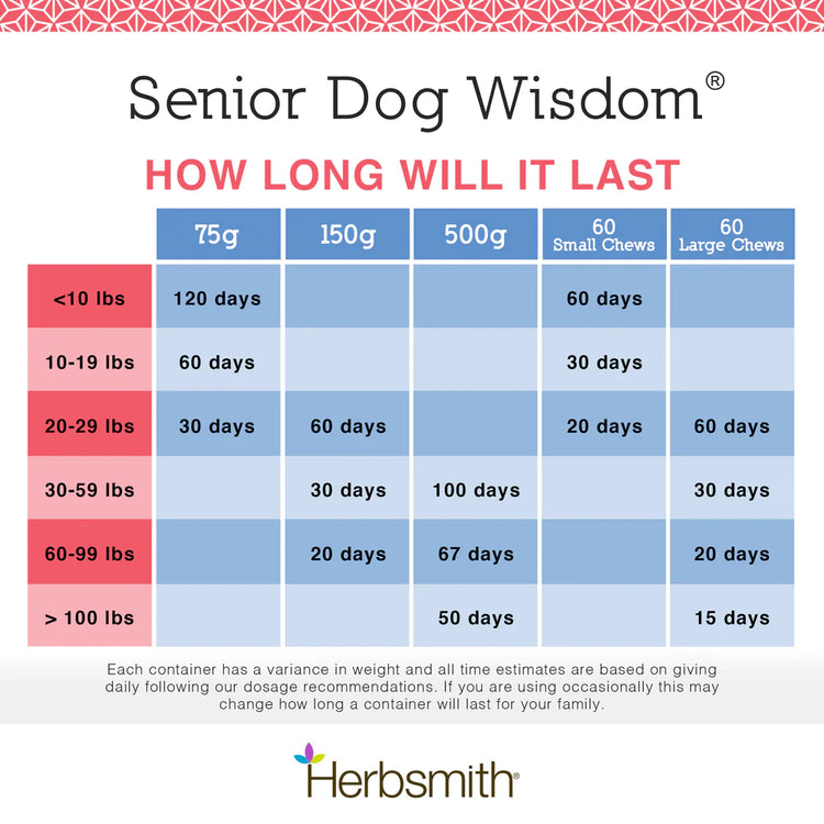 HS Senior Wisdom