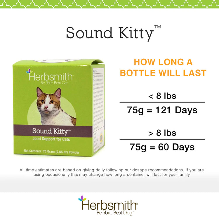 HS Cat Sound Viscosity