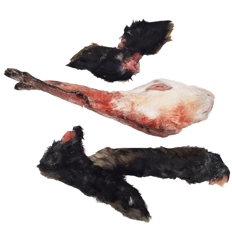 SAV Frozen Rabbit Head & Feet